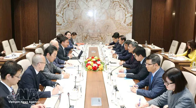 Vietnam values Japan as key strategic partner: Party official