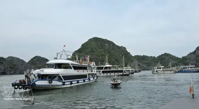 New cruise route linking Ha Long and Lan Ha Bays launched