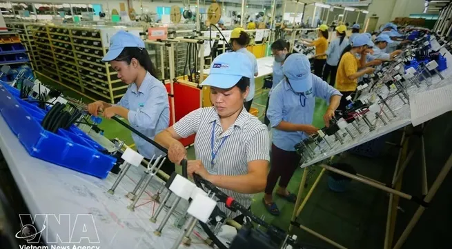 Vietnam, India expand trade cooperation in new growth phase