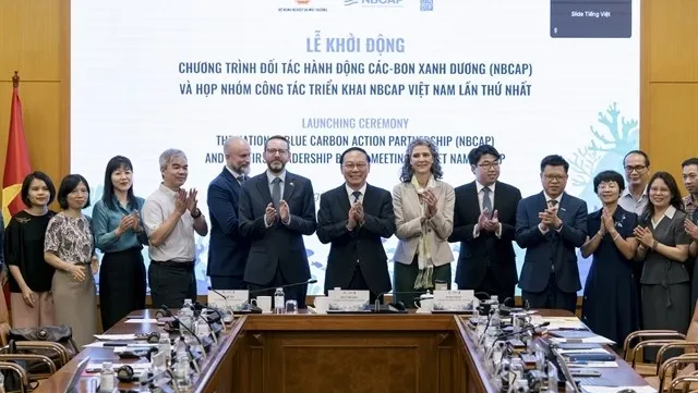 Blue carbon partnership launched to unlock green finance