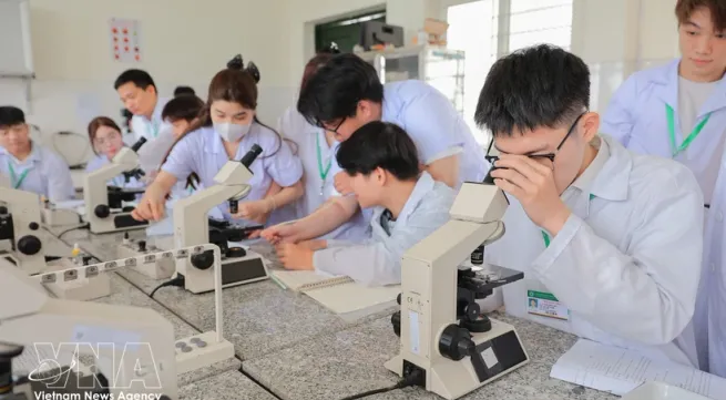 Digital capacity improvement needed for comprehensive human development