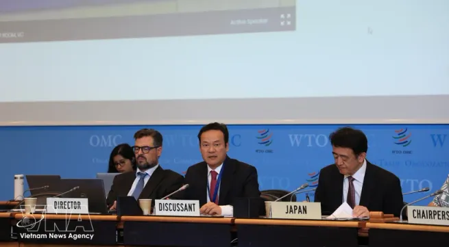 Vietnam attends Japan’s WTO Trade Policy Review session