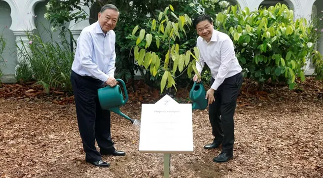 Vietnam's top leader, Singapore PM plant tree at Singapore Botanic Gardens