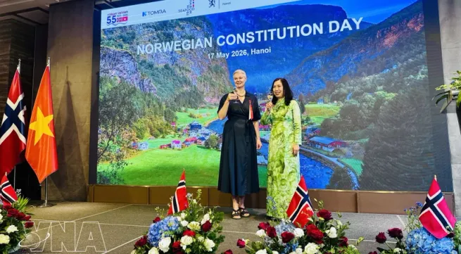 Vietnam, Norway seek strategic, practical cooperation frameworks
