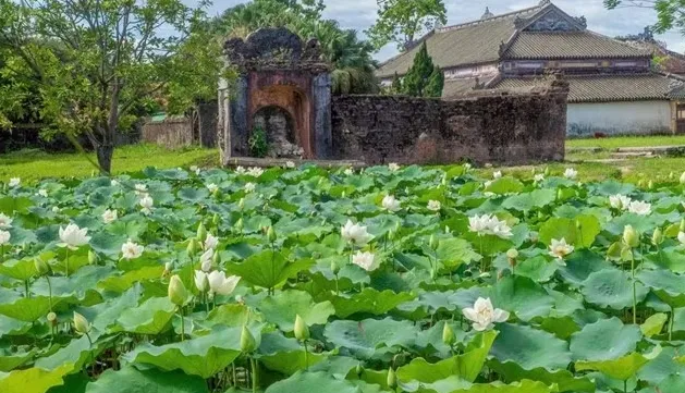 Lotus Festival lights up Hue’s summer