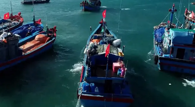 Fishermen’s associations help drive efforts to lift EC’s IUU ‘yellow card’
