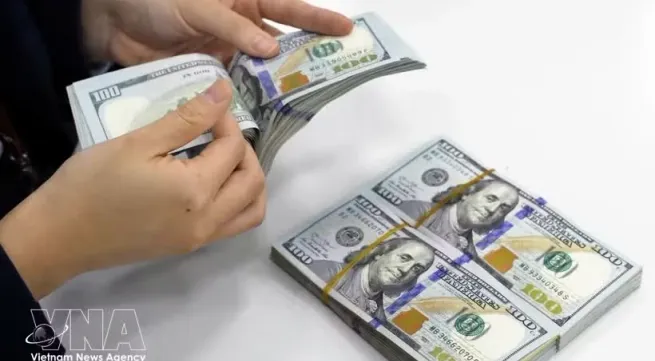 Reference exchange rate rises 5 VND on June 30