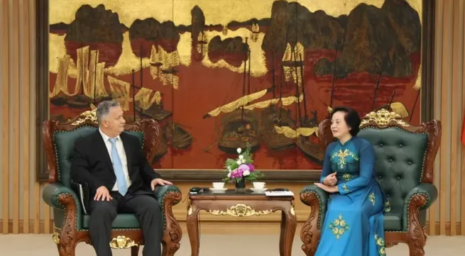 Viet Nam seeks expanded US partnership in searching remains of martyrs