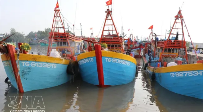 Dong Thap tightens fisheries management to combat IUU fishing