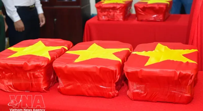 Ca Mau transfers first DNA samples from unidentified martyrs' remains for analysis