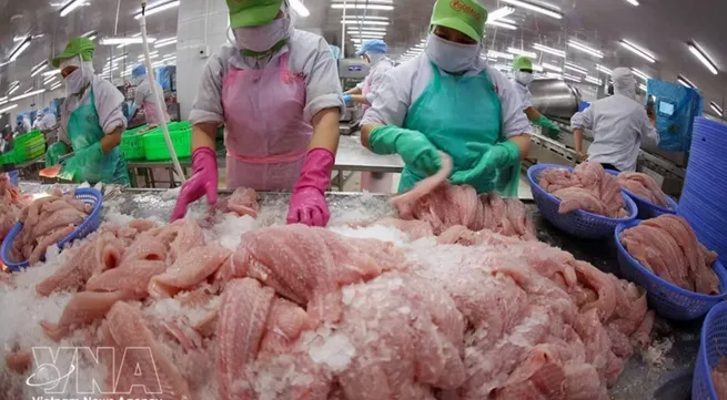 Authorities urged to clear bottlenecks to propel agro-forestry-fishery exports beyond 74 bln USD