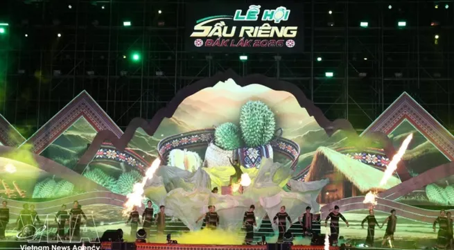 Dak Lak Durian Festival seeks to elevate Vietnam’s agricultural brand globally