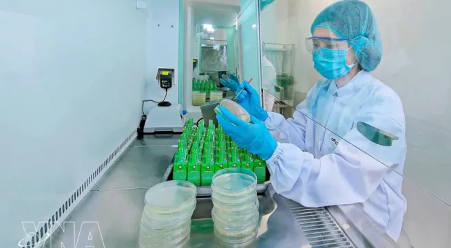 Resolution helps drive foreign direct investment into green economy