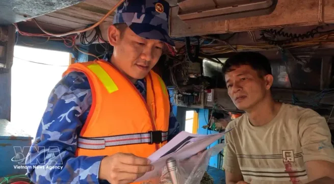 Da Nang city tightens controls to prevent IUU fishing violations