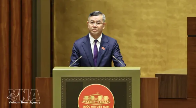 Lawmakers discuss customs reform linked to digital transformation, risk management