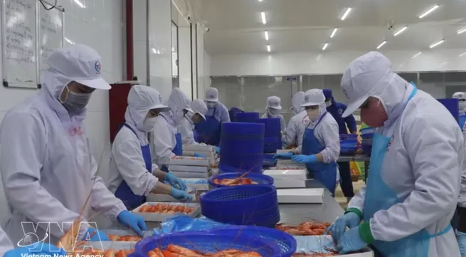 Vietnam's economy expected to grow 11% in 2027