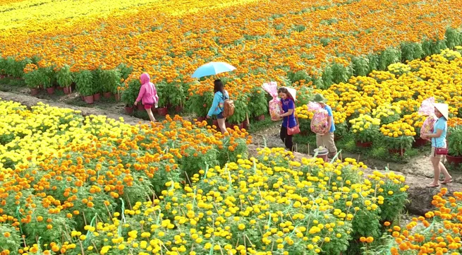 Meaningful travel in Vietnam: Destinations where tourism benefits local communities