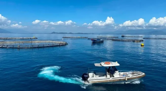 Vietnam unlocks new development space from the sea