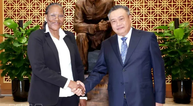 Vietnam shares inspection experience with FRELIMO Party delegation
