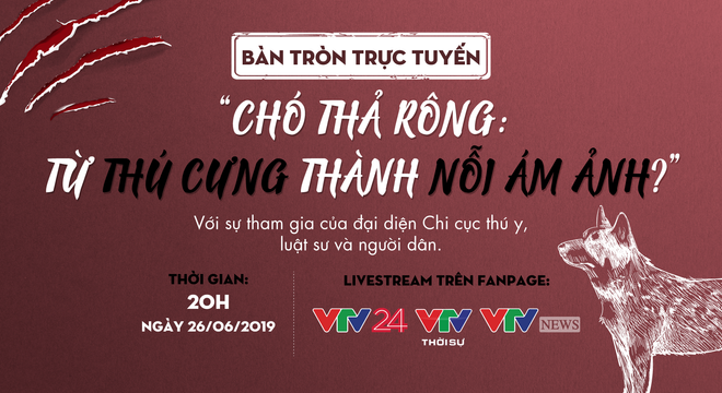 Bàn tròn trực tuyến: Chó thả rông - Từ thú cưng thành nỗi ám ảnh?