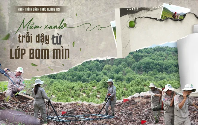 Hành trình đánh thức Quảng Trị: Mầm xanh trỗi dậy từ lớp bom mìn