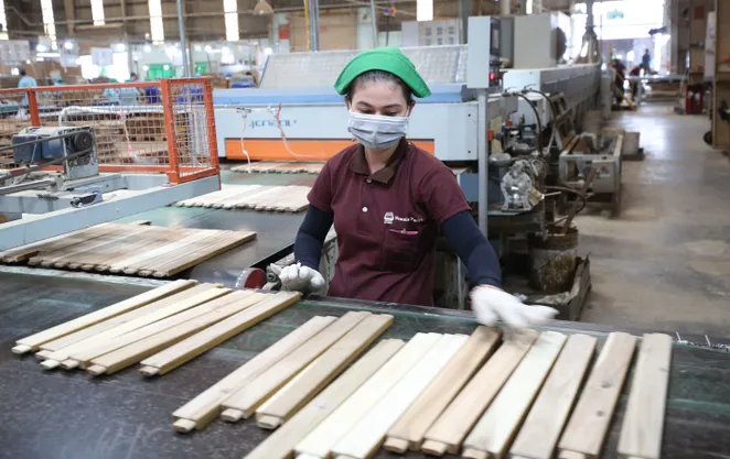 Ngành gỗ tự tin nắm cơ hội sau đàm phán thuế đối ứng