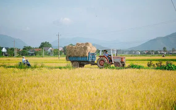 Mùa gặt "vàng" ở miền đất võ