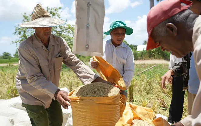 VTV Đặc biệt “Hạt giống hạnh phúc”: Dấu ấn tình hữu nghị bền chặt Việt Nam - Cuba (20h10, VTV1)
