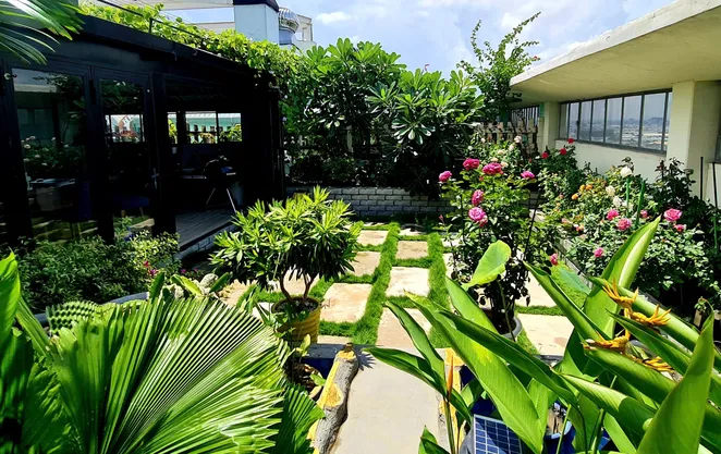 Làm vườn ở phố