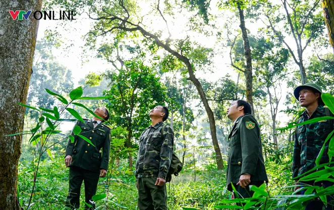 Tuyên Quang: Cán bộ kiểm lâm và người dân chung tay bảo vệ rừng Tân Trào