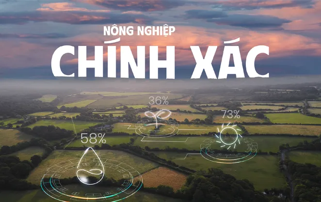 Nông nghiệp chính xác: Từ cánh đồng thông minh đến chuỗi giá trị toàn cầu
