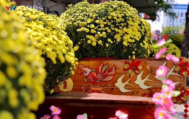 Hoa Tết bắt đầu khoe sắc trên nhiều tuyến đường TP Hồ Chí Minh