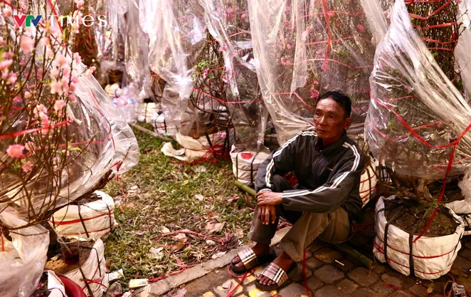 Đêm trắng mưu sinh tại chợ hoa Tết TP Hồ Chí Minh