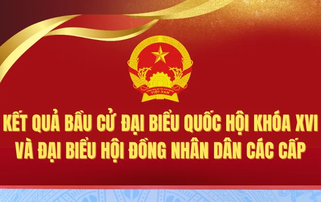 [Infographic] Kết quả bầu cử đại biểu Quốc hội khóa XVI và đại biểu HĐND các cấp
