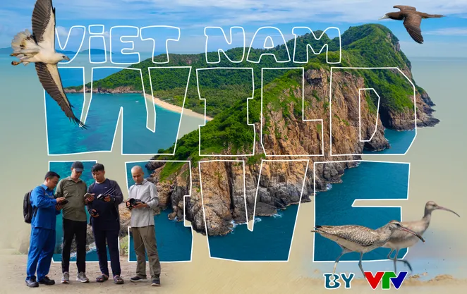 Vietnam Wild Live by VTV - Trực tiếp từng hơi thở nguyên sơ của thiên nhiên