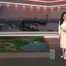 Bản tin thời tiết 19h45 - 13/9/2026
