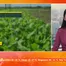 Bản tin thời tiết 5h30 - 14/9/2026