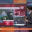 Điểm báo - 14/9/2026