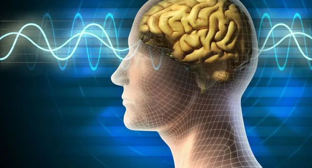 Ma túy tác động đến não bộ như thế nào?