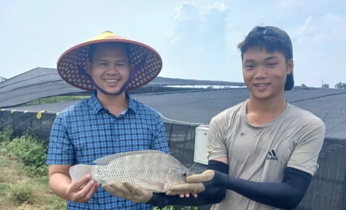 Cá rô phi có tiềm năng thành mặt hàng xuất khẩu chủ lực