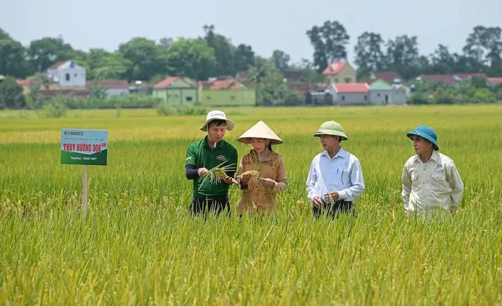 Nông nghiệp Việt trong kỷ nguyên xanh: Tạo sức bật từ chính sách công