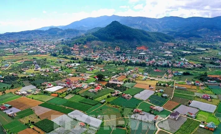 Lâm Đồng: Quy hoạch 6 hành lang kinh tế và 7 vùng kinh tế chuyên biệt