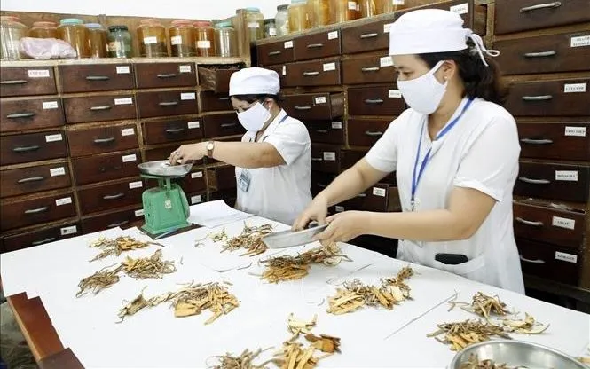 WHO ra mắt thư viện số toàn cầu, nâng tầm vai trò y học cổ truyền trong chăm sóc sức khỏe