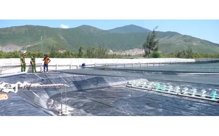 Cảnh báo mất an toàn từ các vùng nuôi tôm trên cát