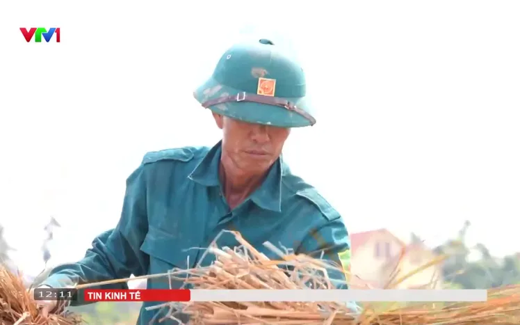 Thách thức sản xuất vụ đông ấm