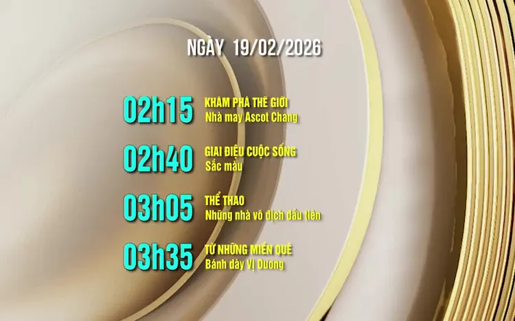 Lịch phát sóng kênh VTV8 - ngày 19/02/2026