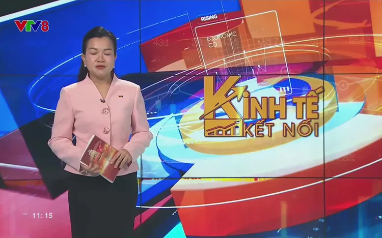 Kinh tế kết nối - Phát sóng 11h20 hàng ngày trên kênh VTV8