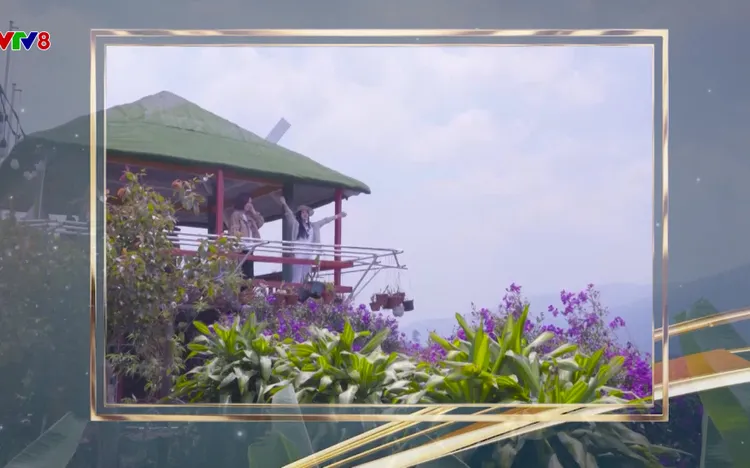 Kết nối VTV8 số 09: Gia Lai – Điểm hẹn Năm Du lịch Quốc gia 2026 và hàng loạt tin tức văn hóa, du lịch các địa phương 