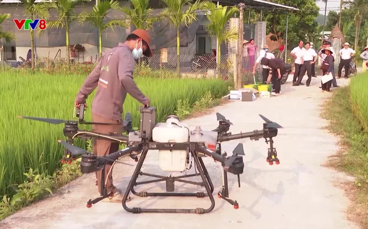 Quảng Ngãi: Đẩy mạnh chuỗi liên kết sản xuất nông nghiệp