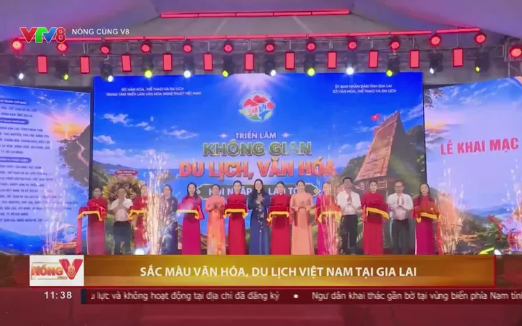  Từ Gia Lai đại ngàn đến mùa vàng Mù Cang Chải